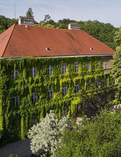 Schloss-Hollenburg_Haupthaus-full-Luftbild_Foto-Marc-Lins_web